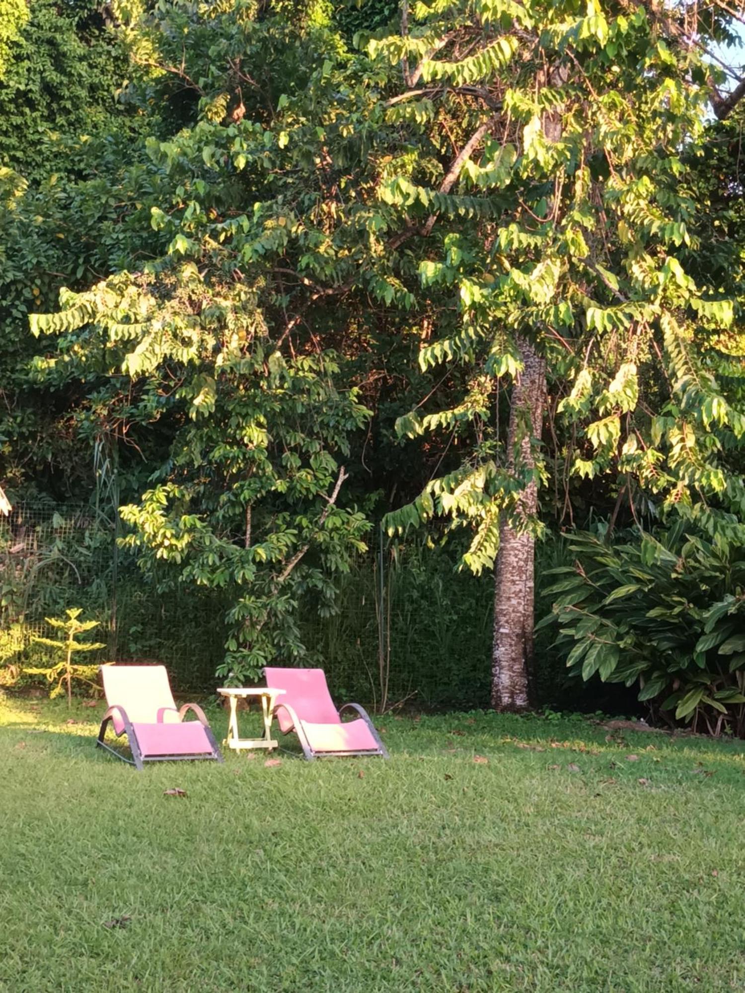 Apartamento Passion Caraibes Saint-Claude Exterior foto